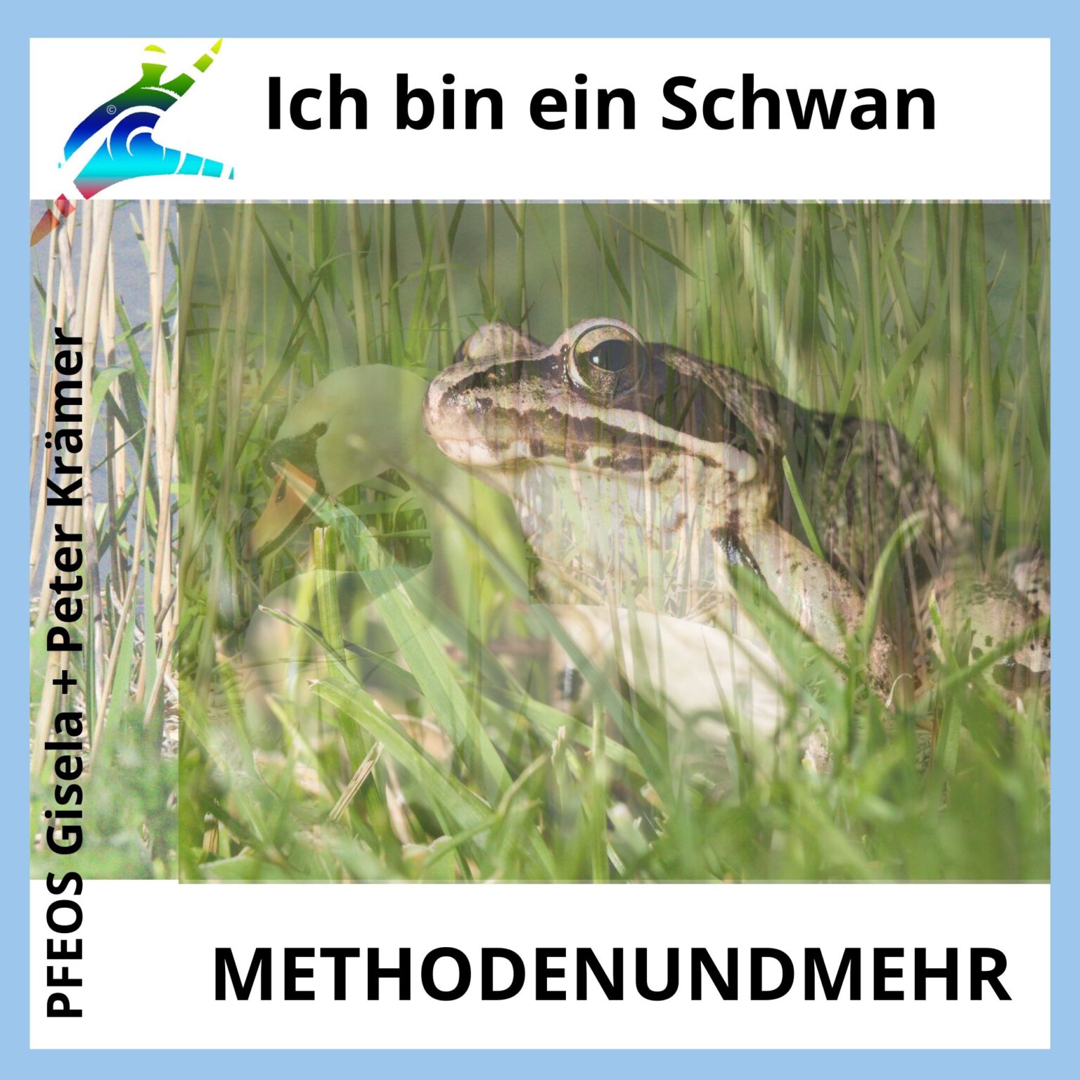 Ich bin ein Schwan! und wie jemand vom Besseren überzeugt wurde