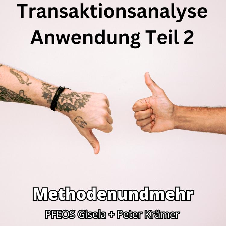 Transaktionsanalyse Anwendung Teil 2