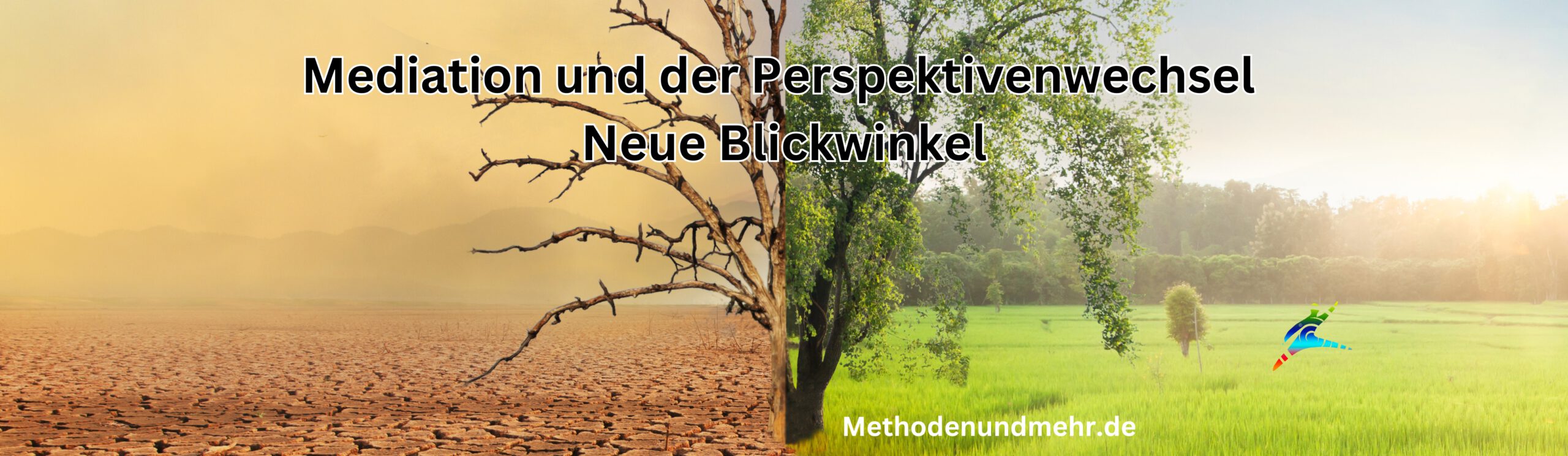 Mediation und der Perspektivenwechsel: Neue Blickwinkel