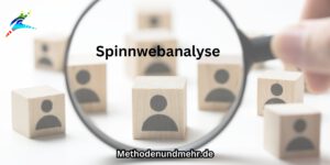 Spinnwebanalyse